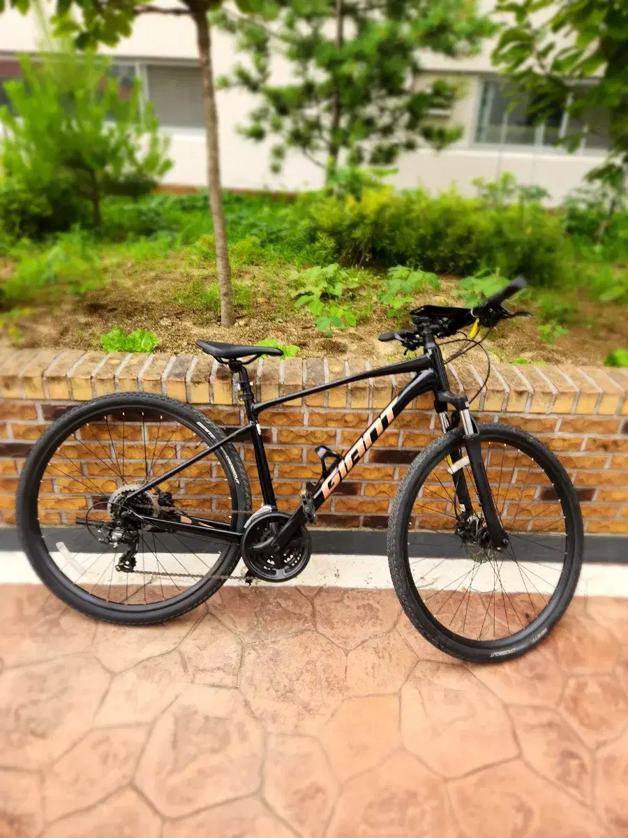 자이언트 롬4 MTB